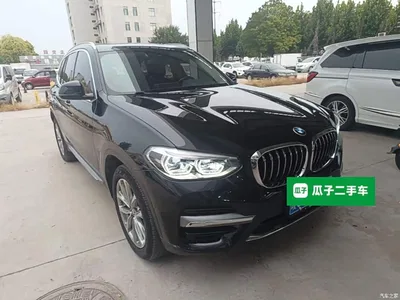 2021 BMW X3 xDrive25i Luxury Package, фото 4, лот 10769081