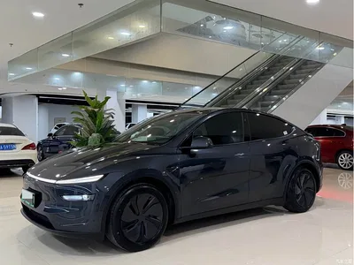 2025 Tesla Model Y Rear-Wheel Drive, фото 1, лот 10845629