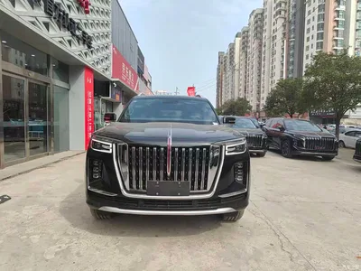 2022 Hongqi Guoyao 4.0T Elegant Flagship 6-Seater, фото 2, лот 11170775