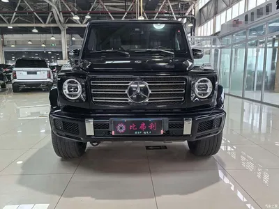 2019 Mercedes-Benz G-Class Facelift G 500, фото 3, лот 10296738