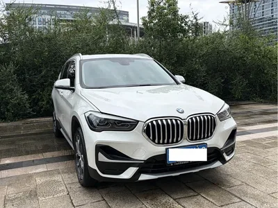 2020 BMW X1 sDrive20Li Premium Edition, фото 2, лот 10466558
