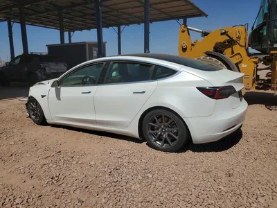 2019 TESLA MODEL 3, фото 2, лот 10851946