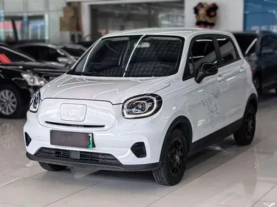 2025 Leapmotor T03 Model 310 Comfort Edition, фото 1, лот 10316967