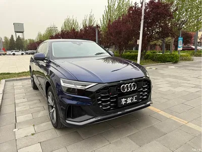 2019 Audi Q8 55 TFSI Premium Dynamic, фото 2, лот 10473812