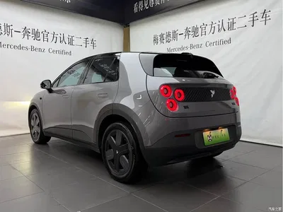 2025 Firefly Firefly Luminescent Edition, фото 4, лот 10394871