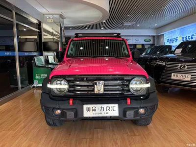 2021 Tank 300 Off-road Version 2.0T Conqueror, фото 2, лот 10434613
