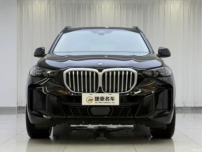 2025 BMW X5 Model xDrive 30Li Exclusive M Sport Blackout Package, фото 2, лот 10239137