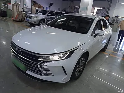 2024 BYD Destroyer 05 Glory Edition DM-i 55KM Luxury, фото 2, лот 11565132