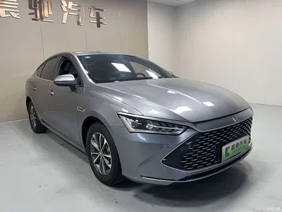 2023 BYD Qin PLUS Champion Edition DM-i 55KM Leading, фото 2, лот 10359099