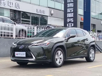 2020 Lexus UX 260h Explore Cool Edition China V, фото 1, лот 10899571