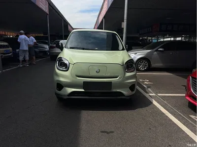 2022 Leapmotor T03 Golden Glory Edition, фото 1, лот 10315217