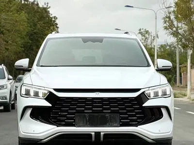 2024 BYD Song Pro New Energy Glory Edition DM-i 110KM Surpassing, фото 2, лот 10272758