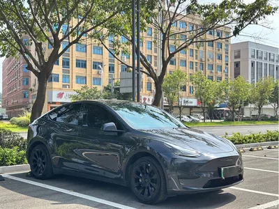 2024 Tesla Model Y Rear-Wheel Drive Version, фото 3, лот 11191519