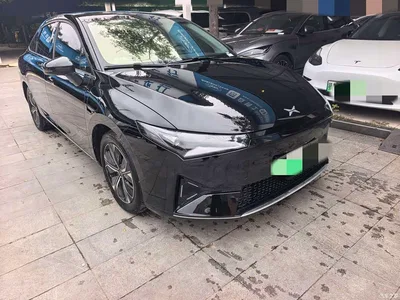 2021 XPeng P5 460G, фото 3, лот 11074030