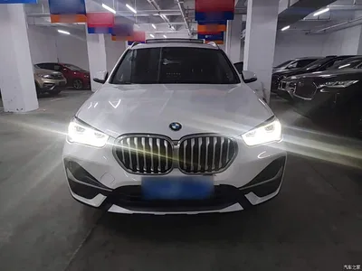 2020 BMW X1 sDrive20Li Premium Edition, фото 3, лот 10467317