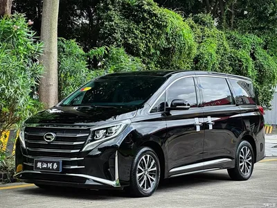 2024 GAC Trumpchi Trumpchi M8 Leadershow Series 390T Luxury Edition, фото 1, лот 10415323