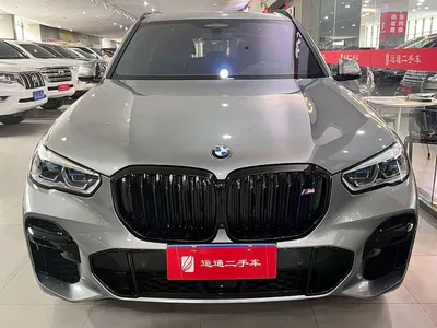 2022 BMW X5 Facelift xDrive 40Li Premium M Sport Package, фото 1, лот 10463075