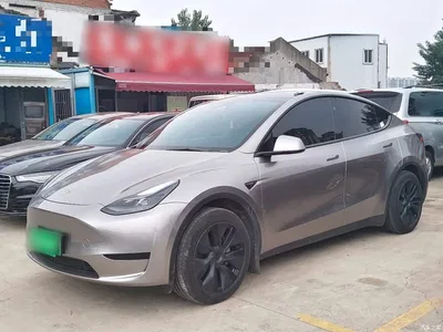 2024 Tesla Model Y Rear-Wheel Drive Version, фото 1, лот 10894990