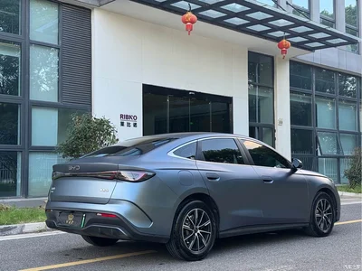 2024 BYD Seal 06 New Energy DM-i 80KM Prestige, фото 4, лот 10400586