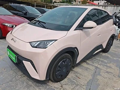2024 BYD Seagull Glory Edition 305km Vitality Edition, фото 2, лот 11089183