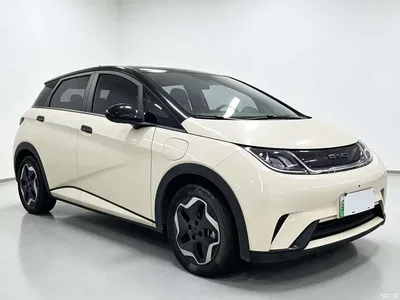 2021 Byd Dolphin, фото 3, лот 10245745