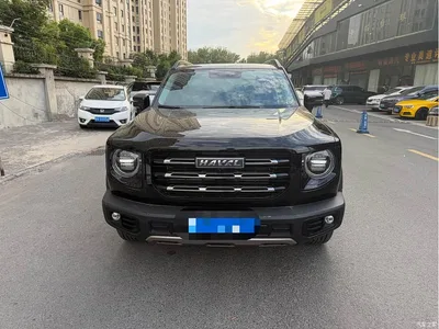 2022 Haval Big Dog 1.5T DCT FWD Labrador Edition, фото 2, лот 11492871