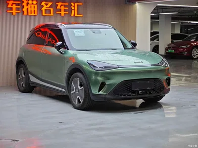 2022 smart Elf #1 Pro+ Edition, фото 3, лот 10343116