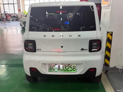 2024 Geely Galaxy Panda mini 200km Endurance Bear, фото 4, лот 10432291