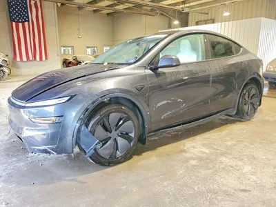 2026 TESLA MODEL Y, фото 1, лот 10853824