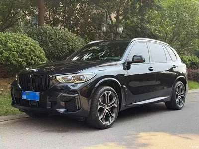 2022 BMW X5 xDrive 40Li Premium M Sport Package, фото 2, лот 10667614