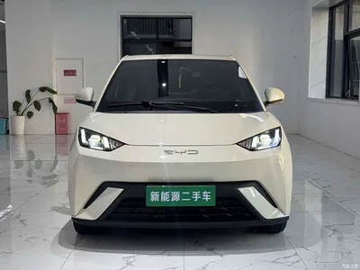 2023 BYD Seagull Flying Edition, фото 3, лот 11087893