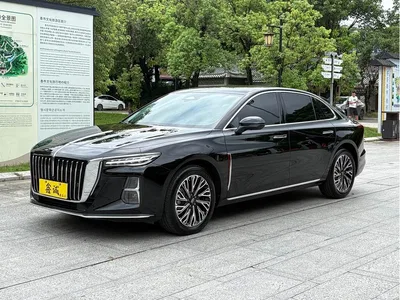 2024 Hongqi H5 2.0T Automatic Smart Connect Flag Smooth Edition, фото 1, лот 10286845