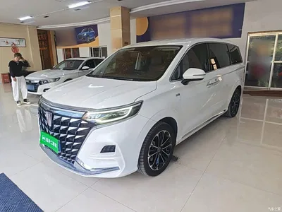 2023 Roewe iMAX8 400TGI Comfort Edition, фото 1, лот 10340873