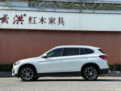 2021 BMW X1 sDrive25Li Leading, фото 4, лот 10237750