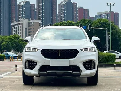 2017 WEY VV7 2.0T Super Luxury, фото 2, лот 10954691