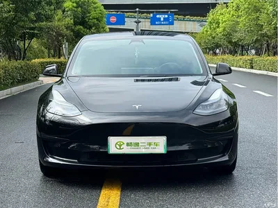2022 Tesla Model 3 Model Rear-Wheel Drive Version, фото 2, лот 10354856