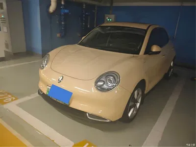 2021 Ora Good Cat 500km Long Range Poseidon Edition (NMC), фото 1, лот 10330411