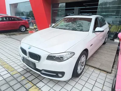 2014 BMW 5 Series 520Li Elegance, фото 1, лот 11012295