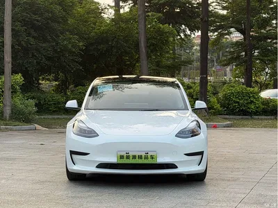 2021 Tesla Model 3 Standard Range Rear-Wheel Drive Upgrade 3D6, фото 3, лот 10368995