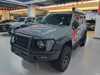 2023 Tank 300 Off-Road Edition 2.0T Conqueror, фото 2, лот 10345403