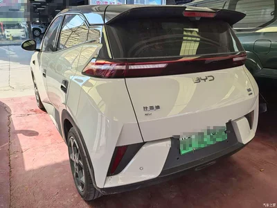 2025 BYD Seagull Smart Driving Edition 405km Flying Edition, фото 4, лот 10249969