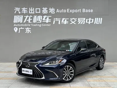 2021 Lexus ES 200 Excellence Edition, фото 1, лот 10311883