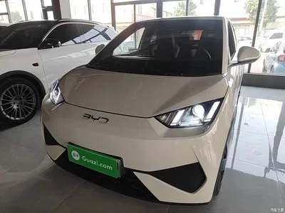 2025 BYD Seagull Smart Drive Edition 305km Vitality Version, фото 1, лот 11067598
