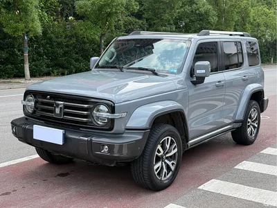 2021 Tank 300 Urban Edition 2.0T Stylish, фото 1, лот 10345116