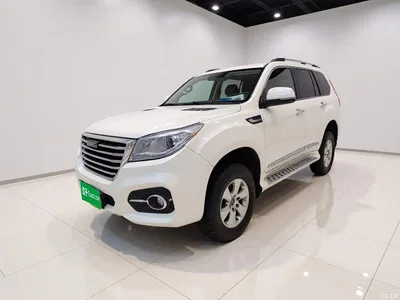 2017 Haval H9 2.0T Petrol 4WD Comfort 7-seater, фото 1, лот 11217166