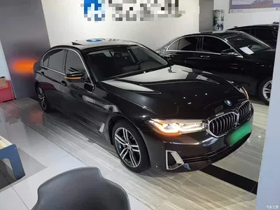 2021 BMW 5 Series 530Li Leading Luxury Package, фото 4, лот 11583338