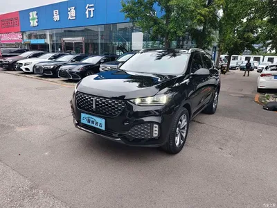 2020 WEY VV6 2.0T 2WD Smart Enjoy+, фото 3, лот 10451935