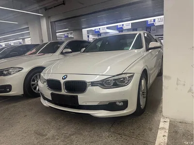 2017 BMW 3 Series 320Li Fashion, фото 1, лот 10457176