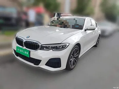 2022 BMW 3 Series 320Li M Sport Package, фото 1, лот 10808020