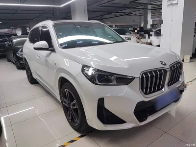 2023 BMW X1 sDrive25Li M Sport Package, фото 4, лот 10390489